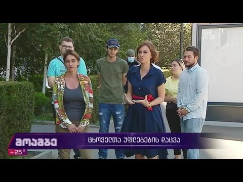 ცხოველთა უფლებების დაცვა